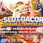link slot gacor