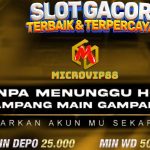 slot gacor 2025