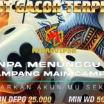 slot gacor 4d